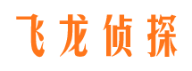 红山市侦探公司